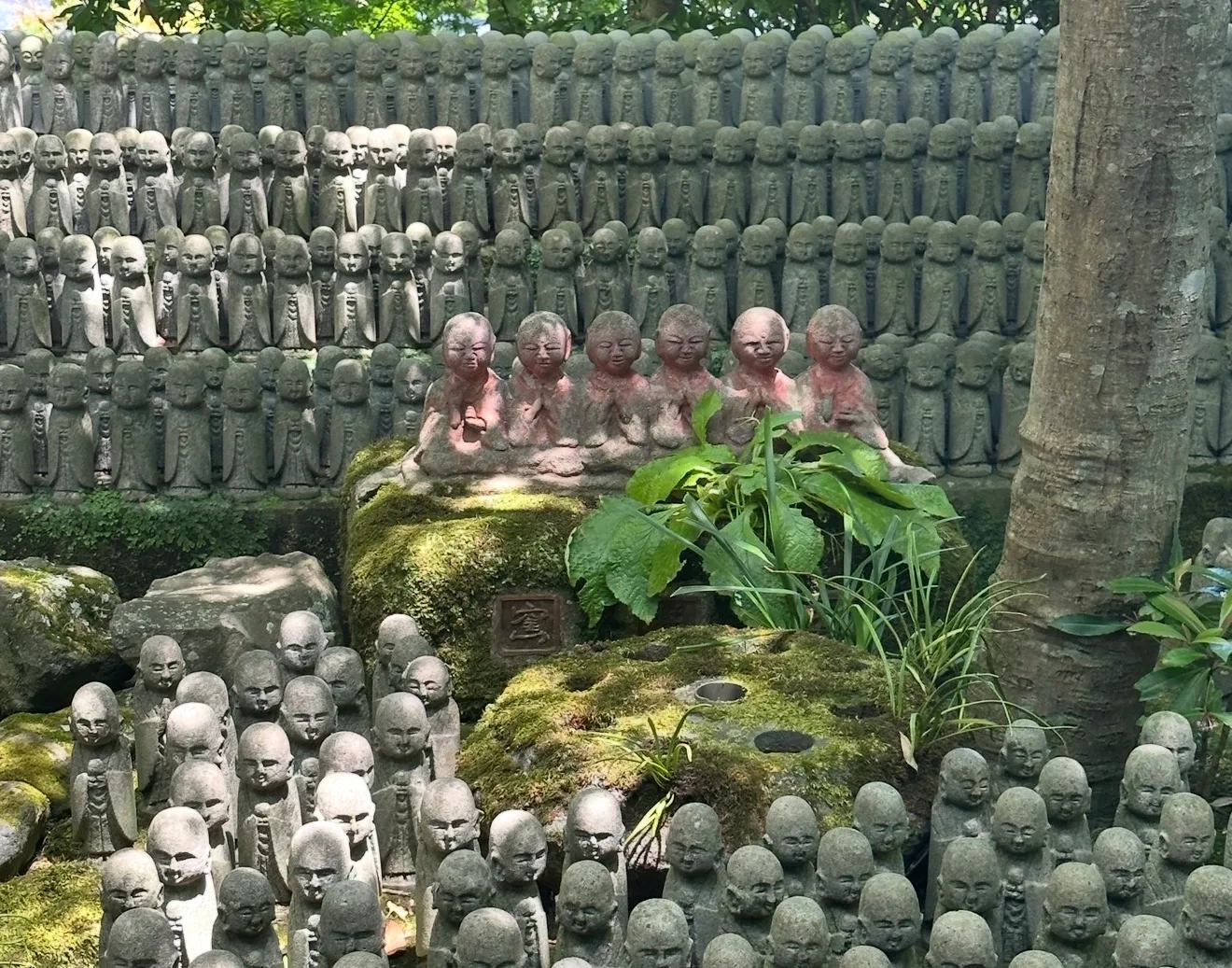 Kamakura tour in Kamakura, Hase, Japan — photo 5