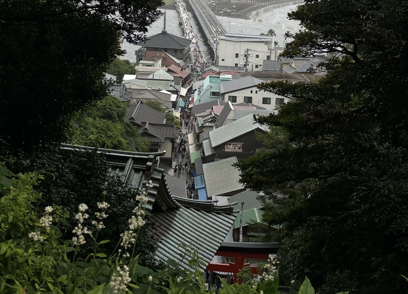 Enoshima tour in Enoshima, Japan — photo 4