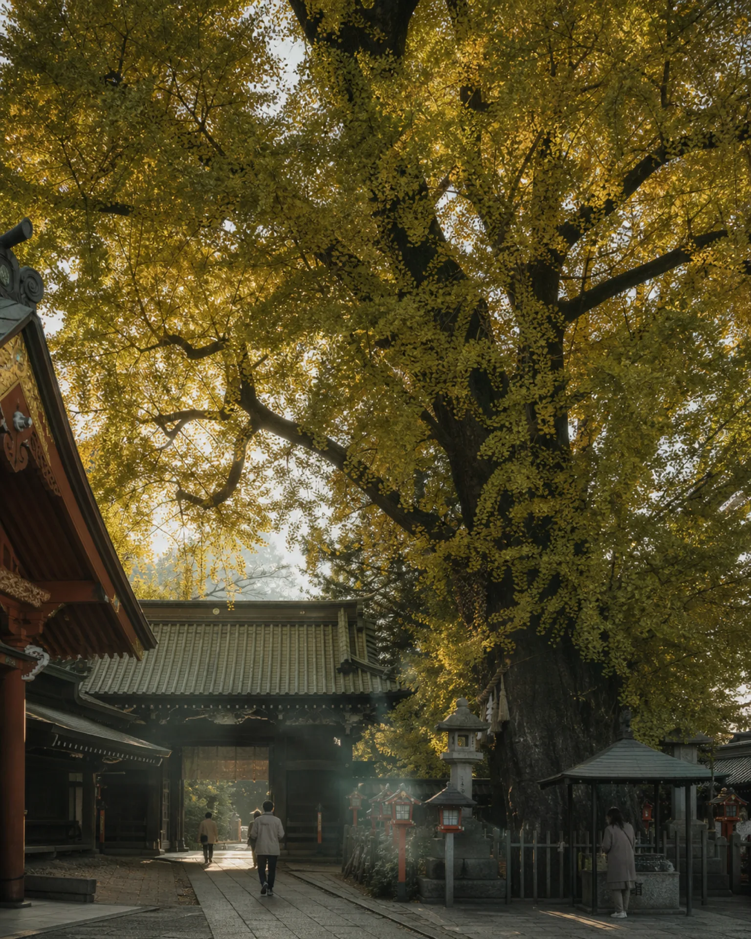 From Spirituality to Manga: the hidden soul of Mejiro in Mejiro, Japan — photo 3