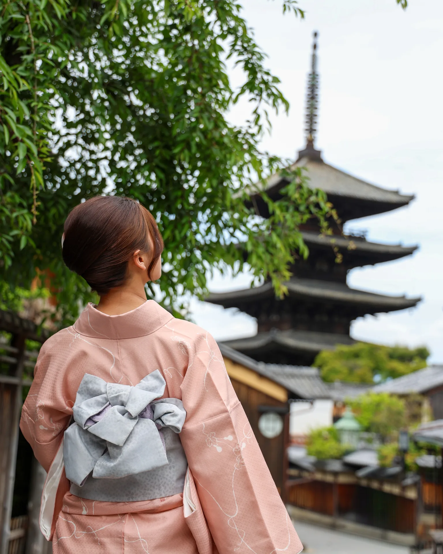 Kyoto Walking Tour 2