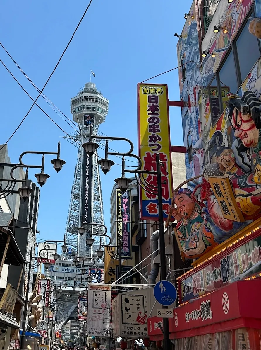 Osaka Highlights Private Tour 2