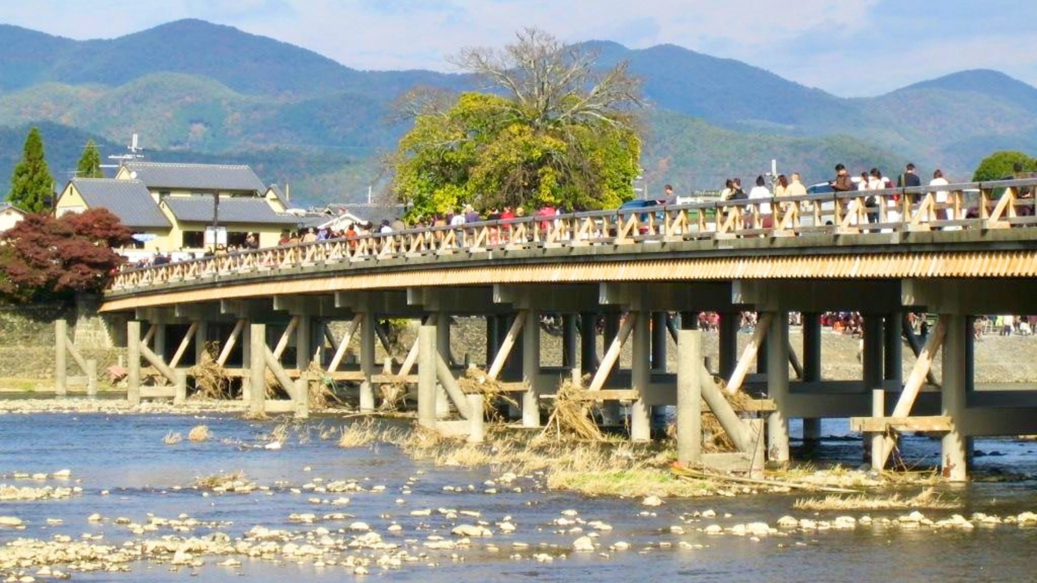 Full-Day Kyoto Tour: Arashiyama Bamboo Grove, Nishiki Market & Gion in Arashiyama, Gion, Japan — photo 2