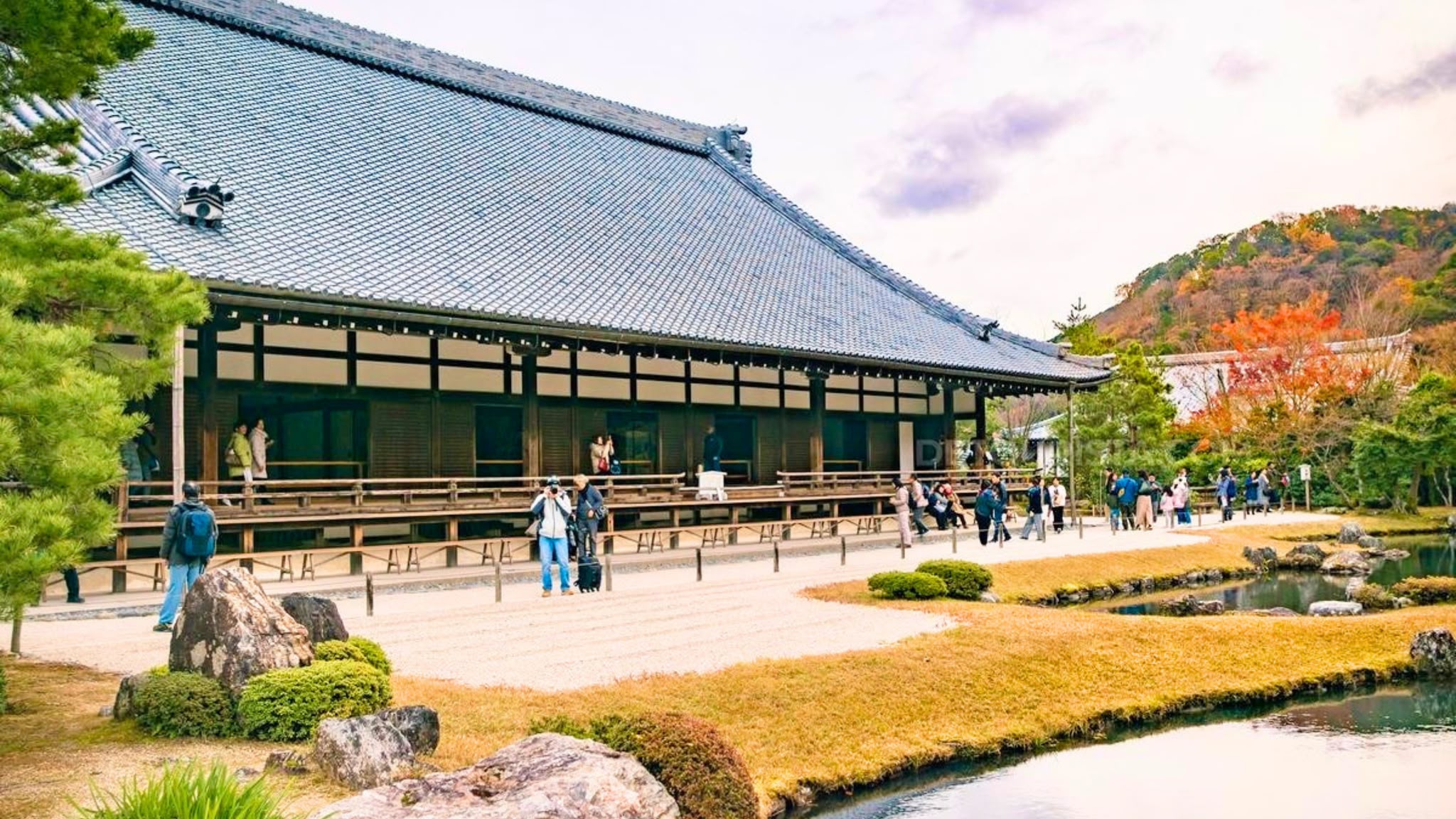 Full-Day Kyoto Tour: Arashiyama Bamboo Grove, Nishiki Market & Gion in Arashiyama, Gion, Japan — photo 3