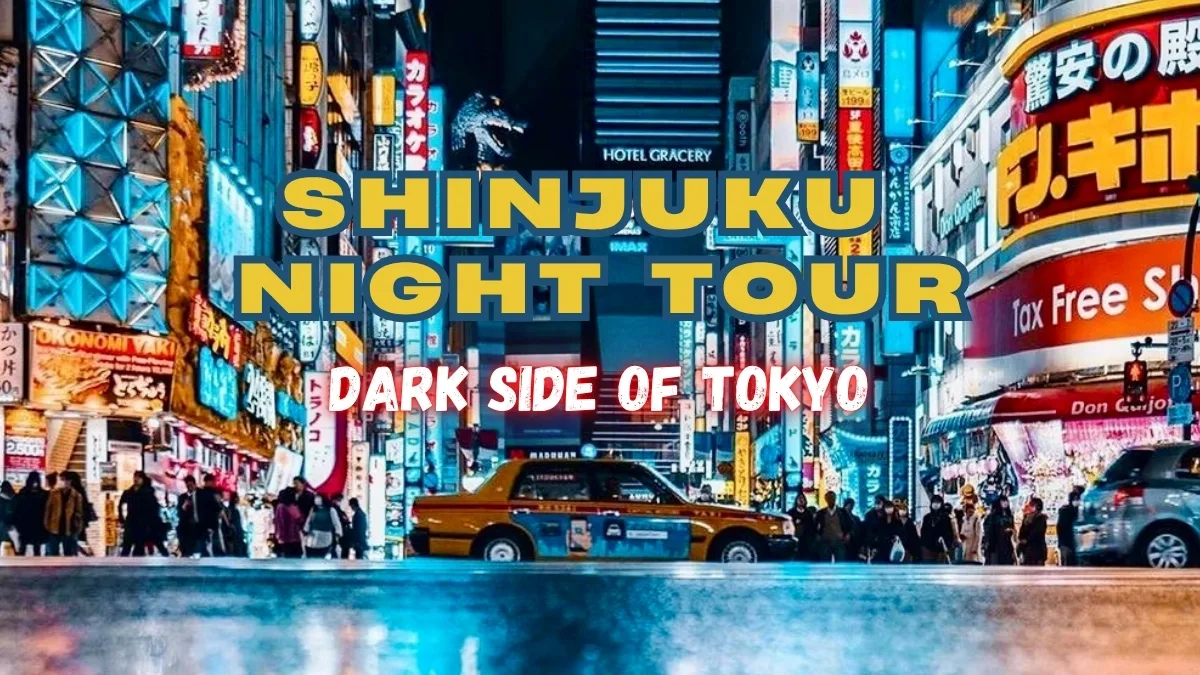 Shinjuku Night Walking Tour - Dark Side of Tokyo (For Adults 18+ Only) — small-group walking tour in Shinjuku, Japan