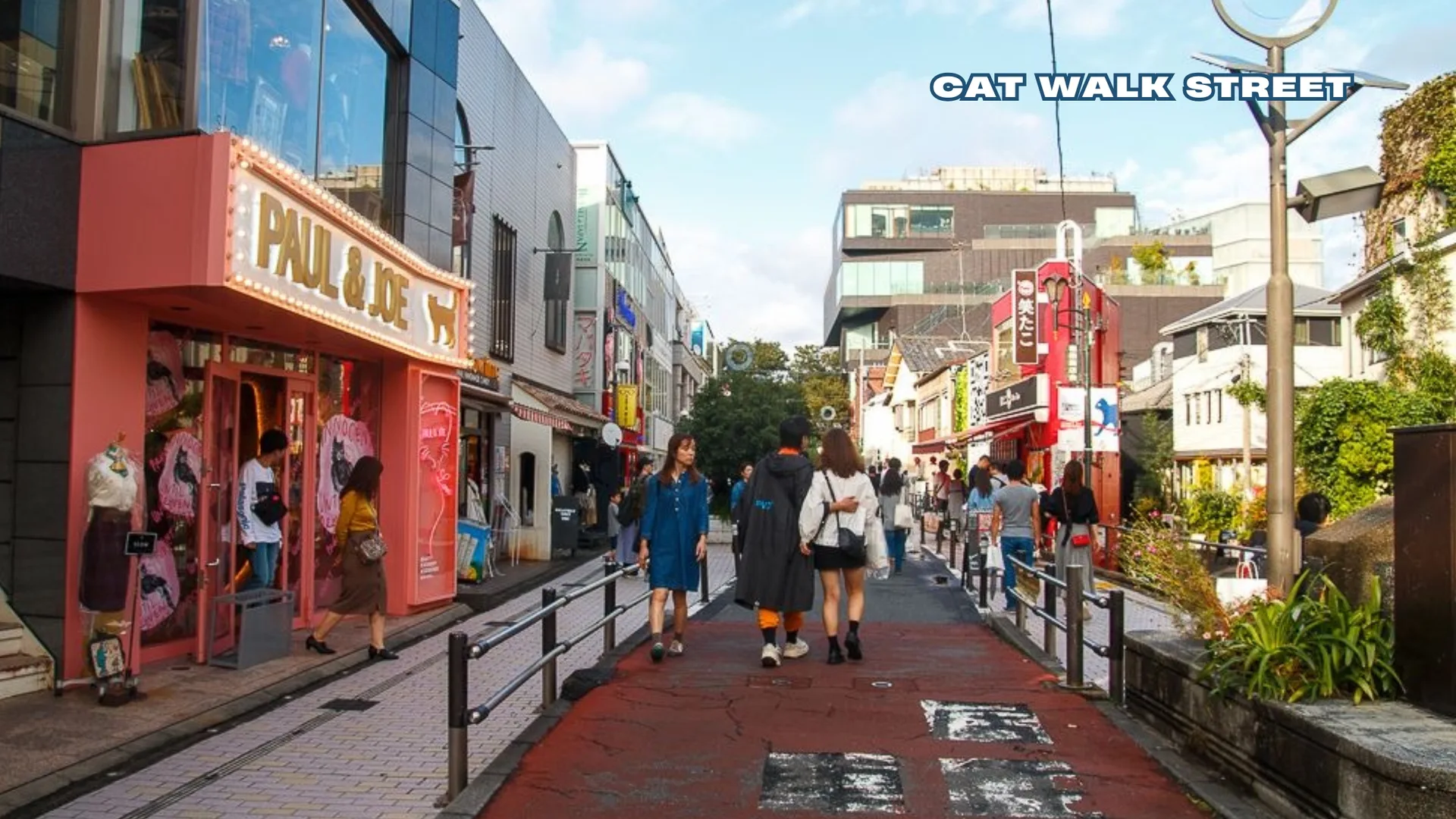 Shibuya & Harajuku Group Walking Tour - Discover the hidden gems in Shibuya City, Japan — photo 3