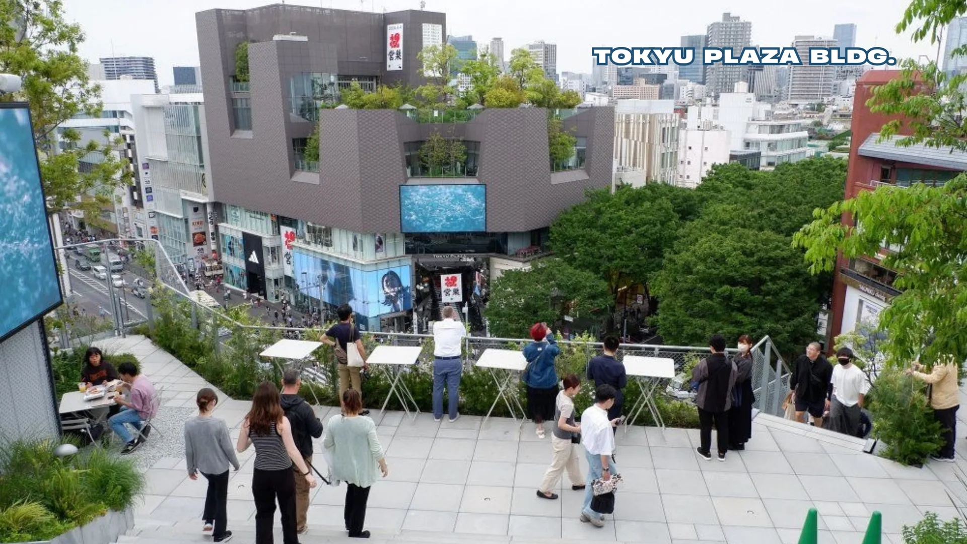 Shibuya & Harajuku Group Walking Tour - Discover the hidden gems in Shibuya City, Japan — photo 4