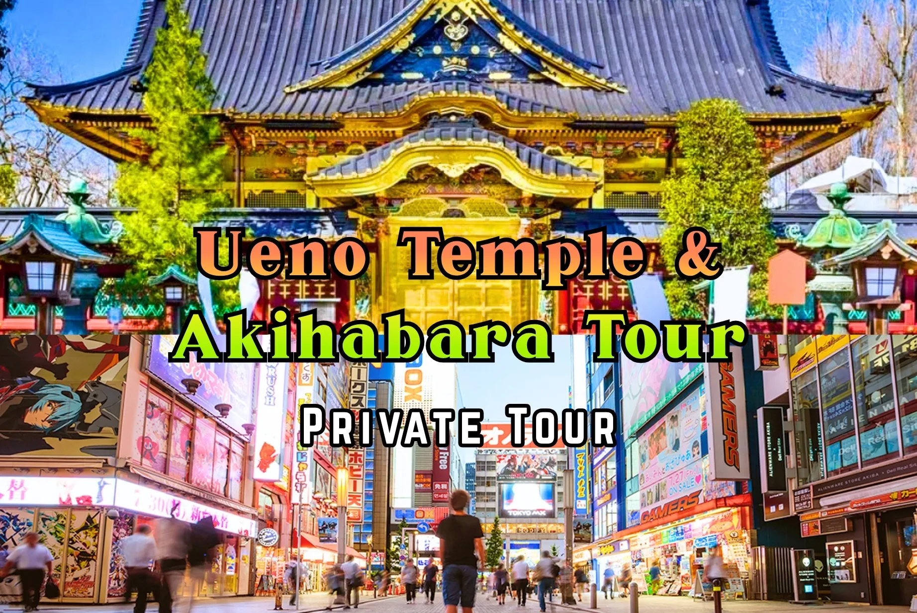 Ueno Temples & Akihabara Tour - Private Day Tour — small-group walking tour in Ueno District & Akihabara, Japan