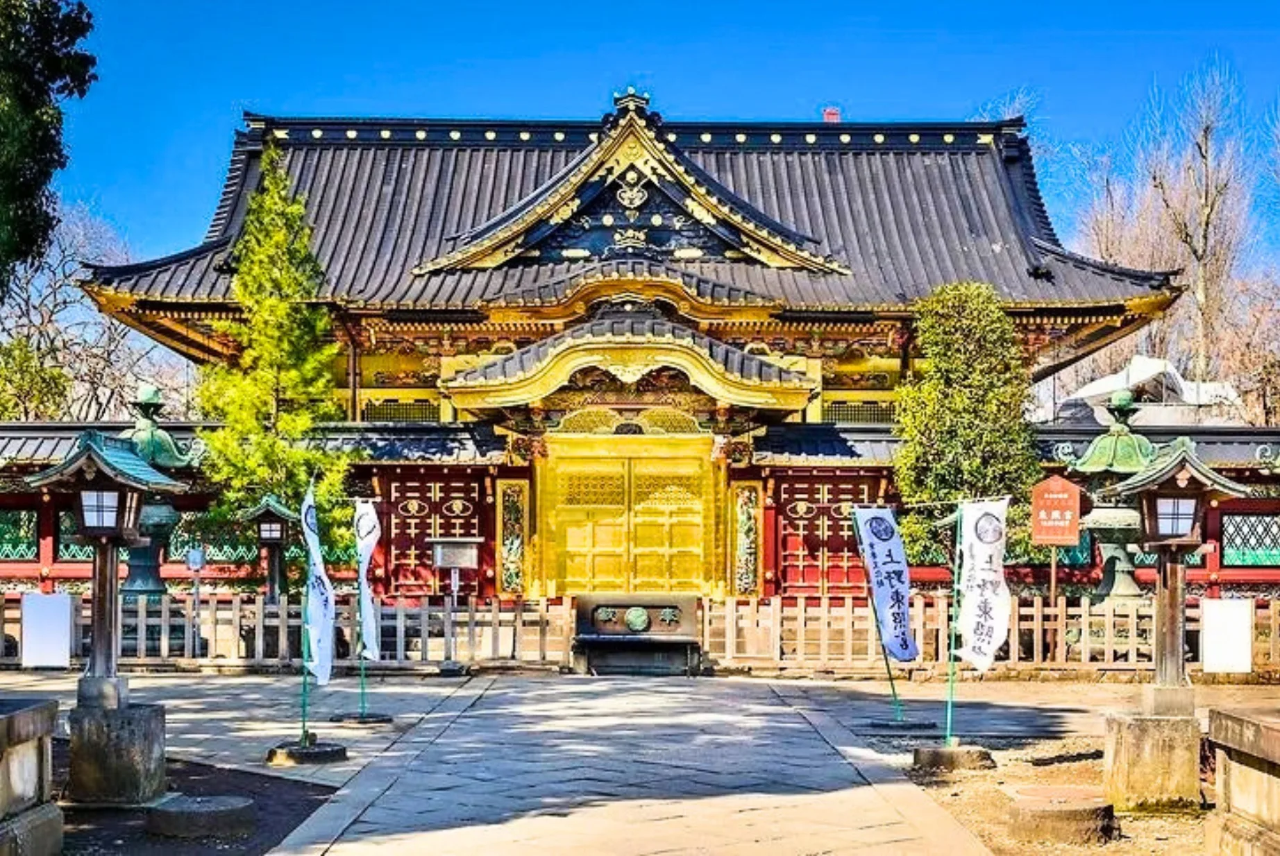 Ueno Temples & Akihabara Tour - Private Day Tour 2