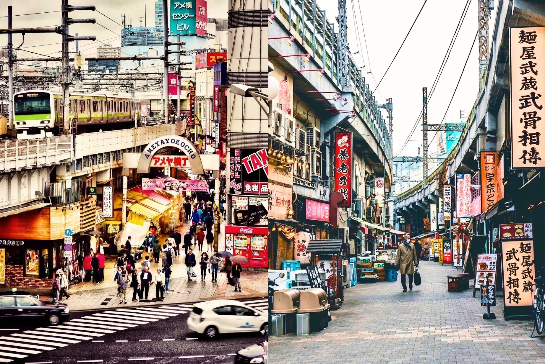 Ueno Temples & Akihabara Tour - Private Day Tour in Ueno District & Akihabara, Japan — photo 4
