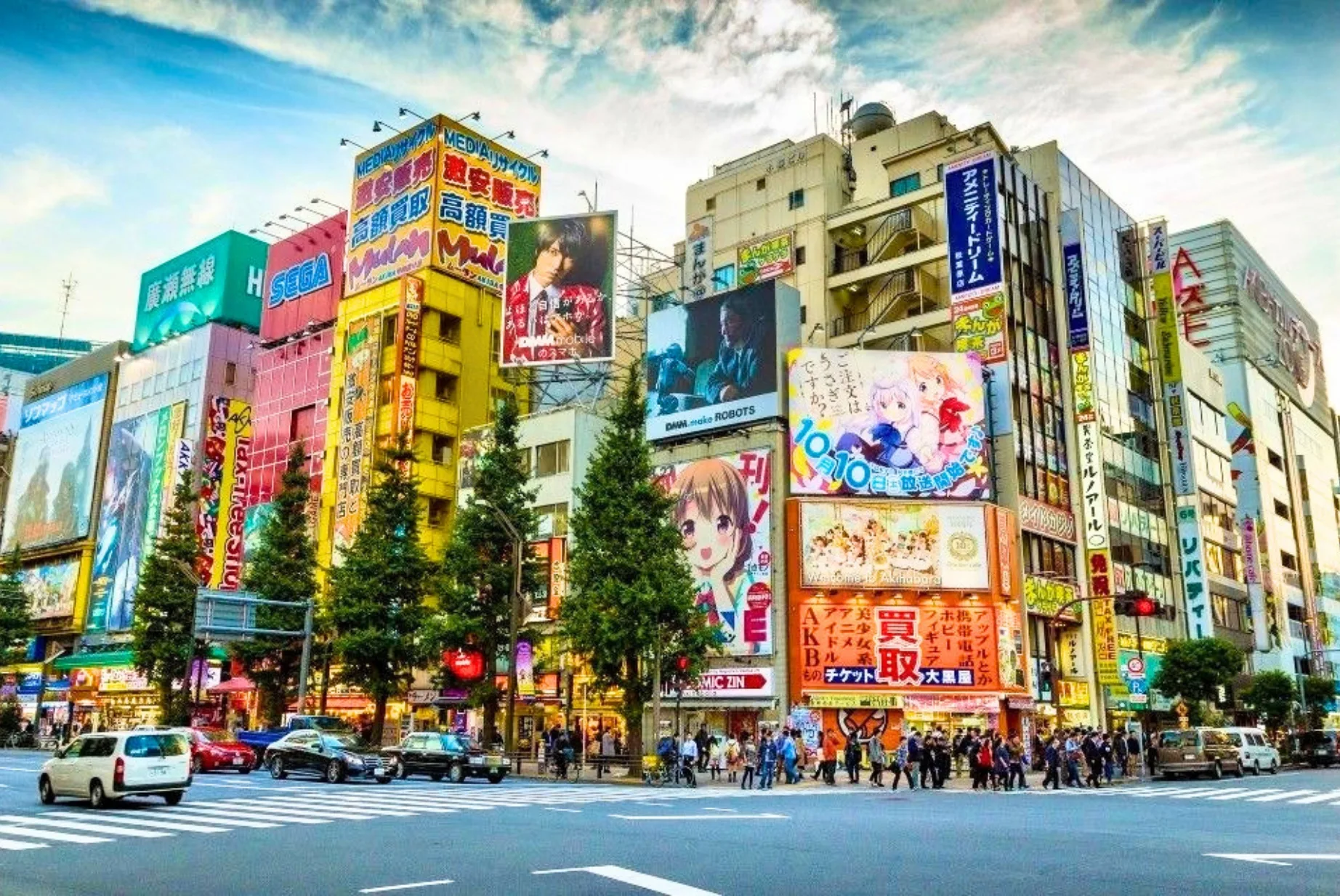 Ueno Temples & Akihabara Tour - Private Day Tour in Ueno District & Akihabara, Japan — photo 5