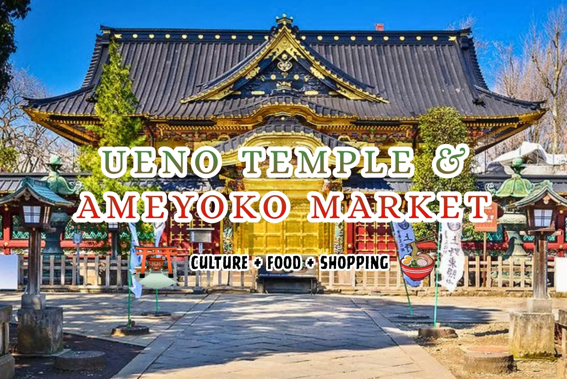 Ueno Temples & Ameyoko Market Walking Tour - Blend of Culture + Food + Shopping — small-group walking tour in Taito-ku, Japan