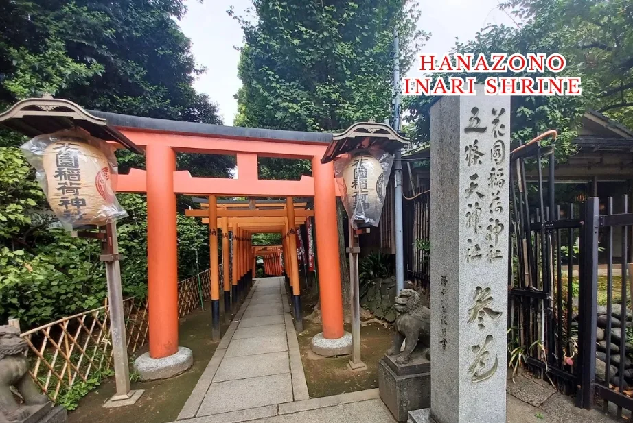 Ueno Temples & Ameyoko Market Walking Tour - Blend of Culture + Food + Shopping in Taito-ku, Japan — photo 3