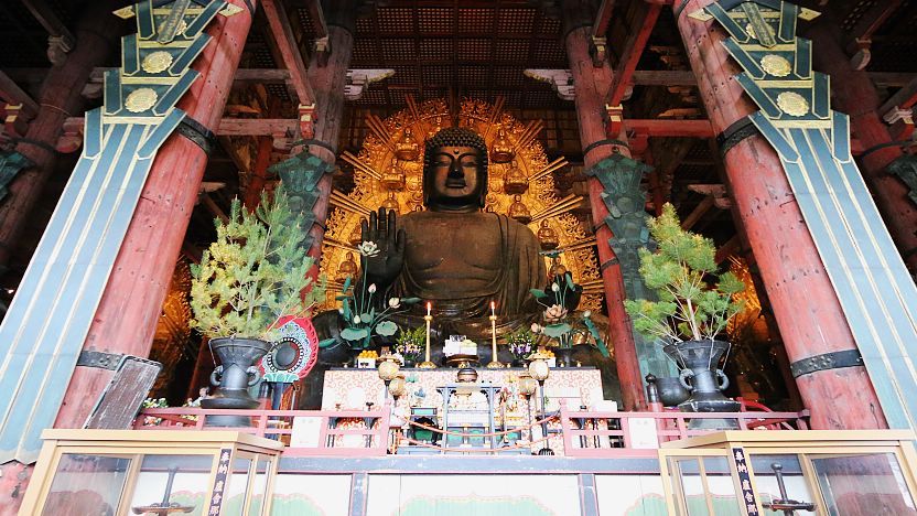Private Nara Introduction Tour — Deer Park, Temples & Ancient Japan 2