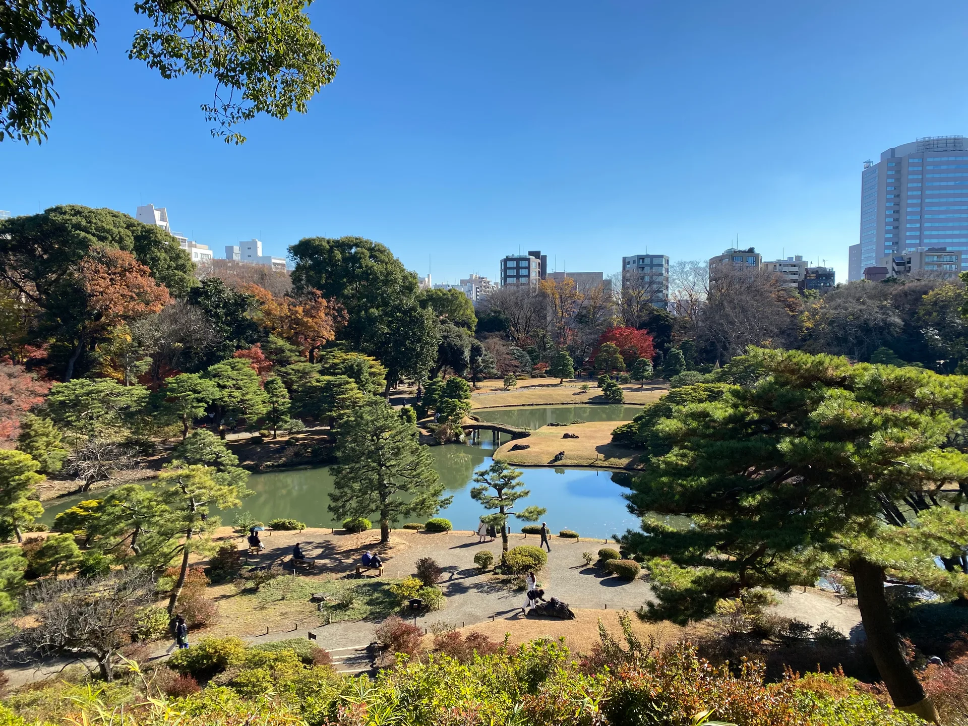 Hidden Tokyo - Peaceful Gardens, Historic Shrines & Old Town Streets — small-group walking tour in Komagome, Nezu, Yanaka, Japan