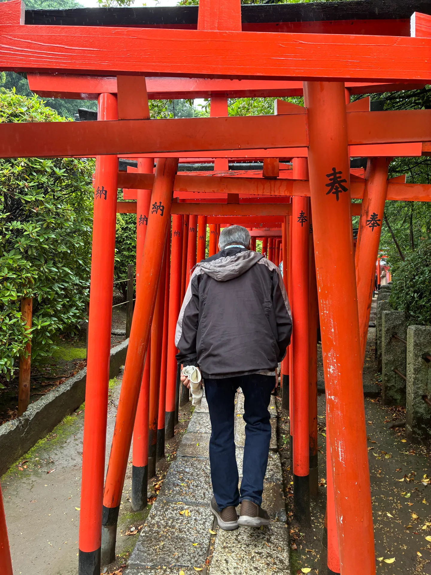 Hidden Tokyo - Peaceful Gardens, Historic Shrines & Old Town Streets in Komagome, Nezu, Yanaka, Japan — photo 3