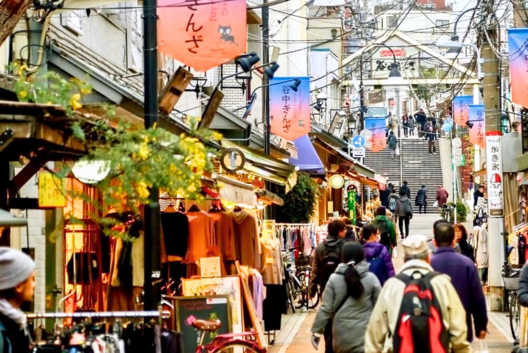 Hidden Tokyo - Peaceful Gardens, Historic Shrines & Old Town Streets in Komagome, Nezu, Yanaka, Japan — photo 4